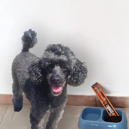 Casa Iolanda Casa vacanze